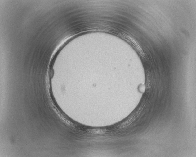 X0000115510796200912181444