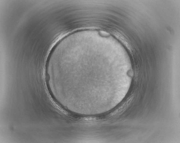 X0000115510797200912181444