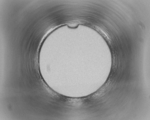 X0000115510800200912181444