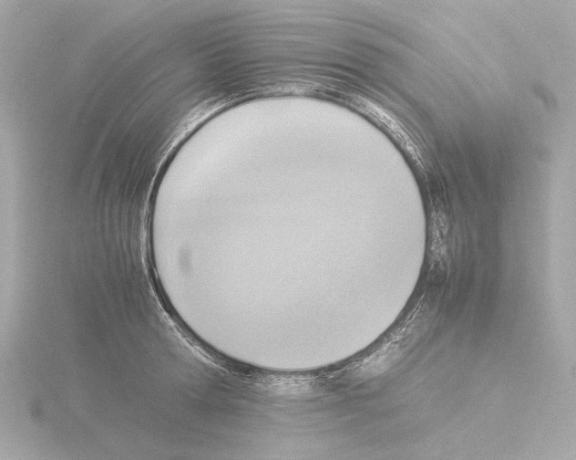 X0000115510802200912181444