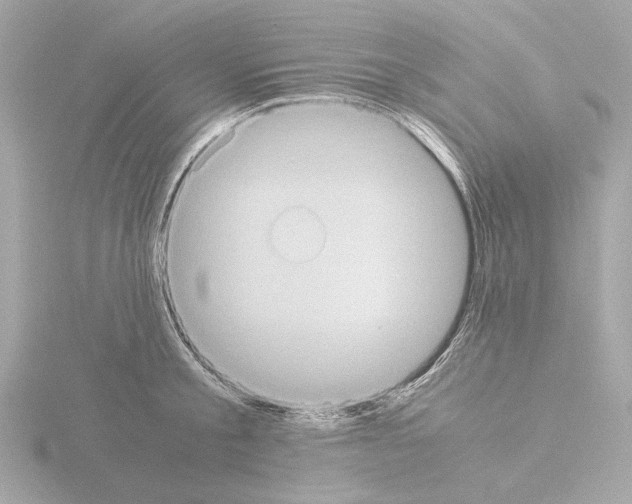 X0000115510805200912181444