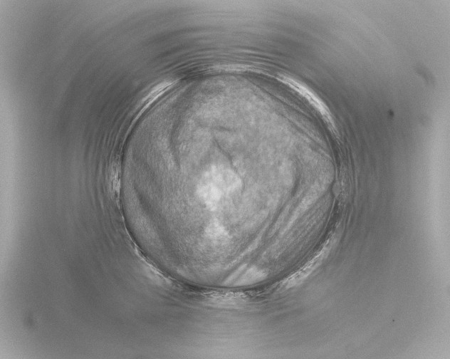 X0000115510809200912181444