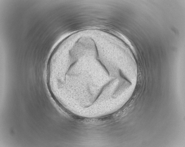 X0000115510811200912181444