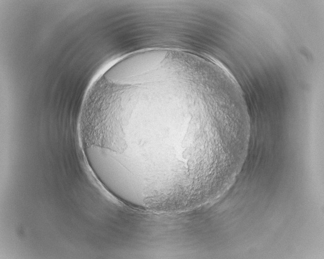 X0000115510812200912181444