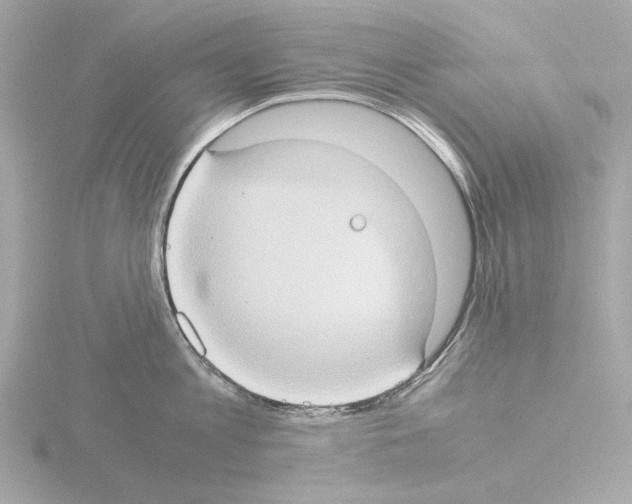 X0000115510813200912181444