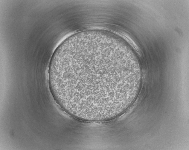 X0000115510814200912181444