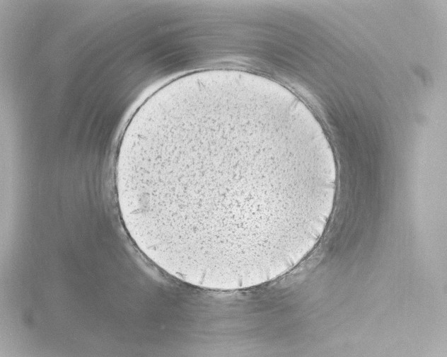 X0000115510816200912181444