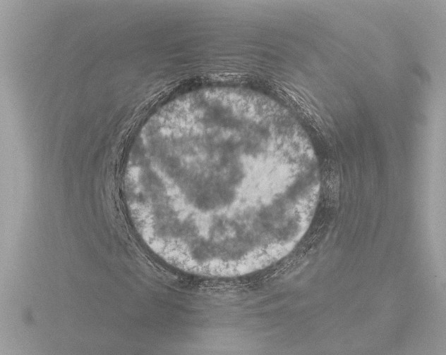 X0000115510817200912181443