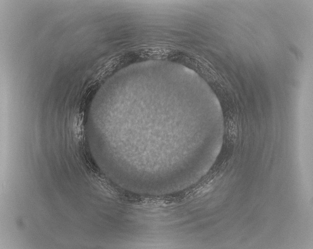 X0000115510818200912181443