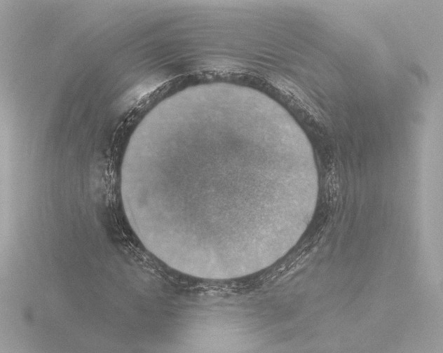 X0000115510822200912181443