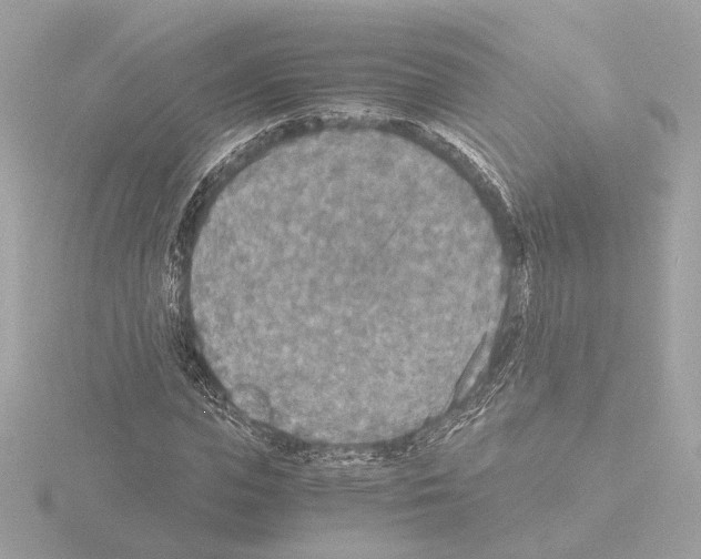 X0000115510823200912181443