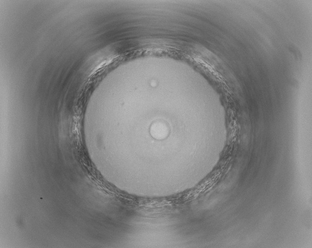 X0000115510824200912181443