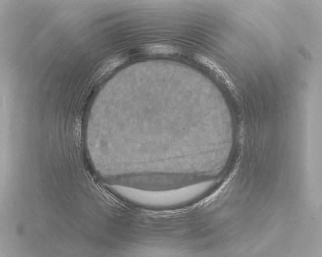 X0000115510825200912181443