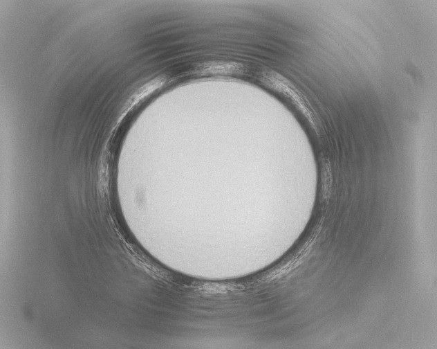 X0000115510827200912181443