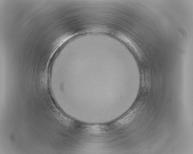 X0000115510828200912181443