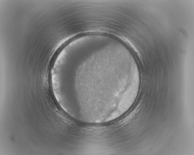 X0000115510830200912181443