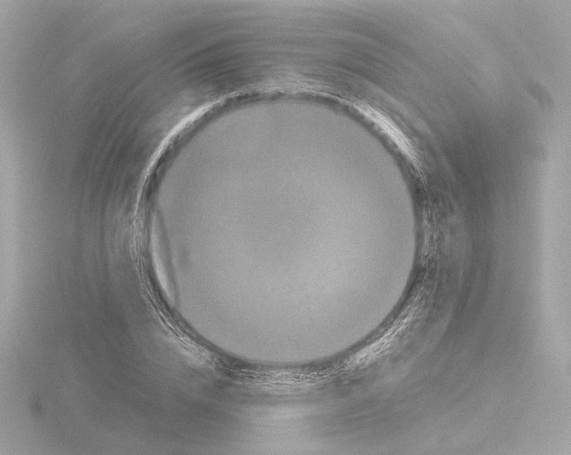 X0000115510832200912181443