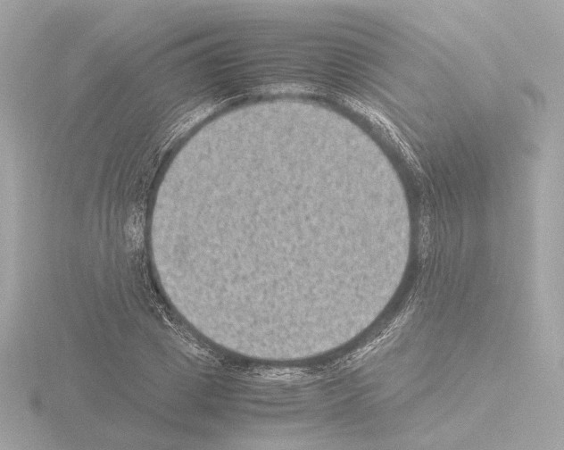 X0000115510833200912181443