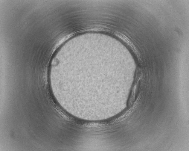 X0000115510834200912181443