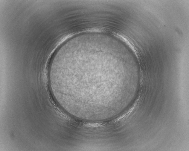 X0000115510835200912181443