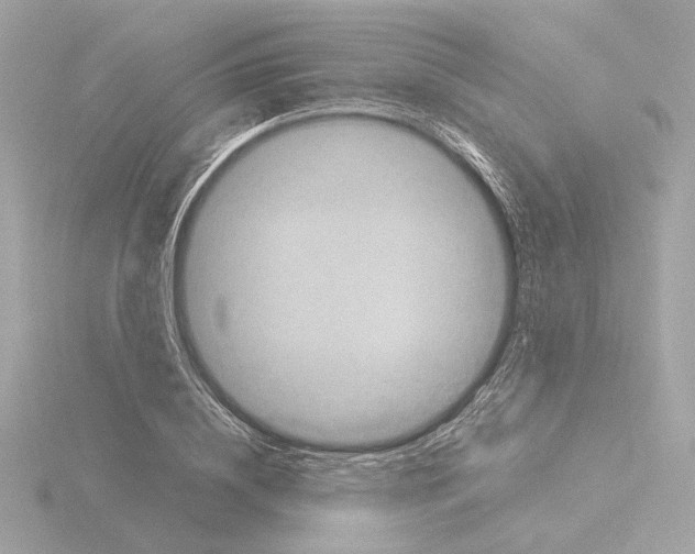 X0000115510836200912181443