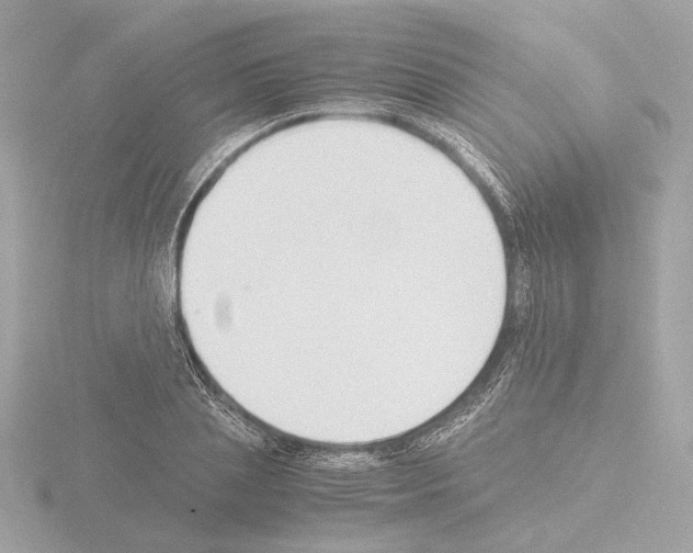 X0000115510837200912181443