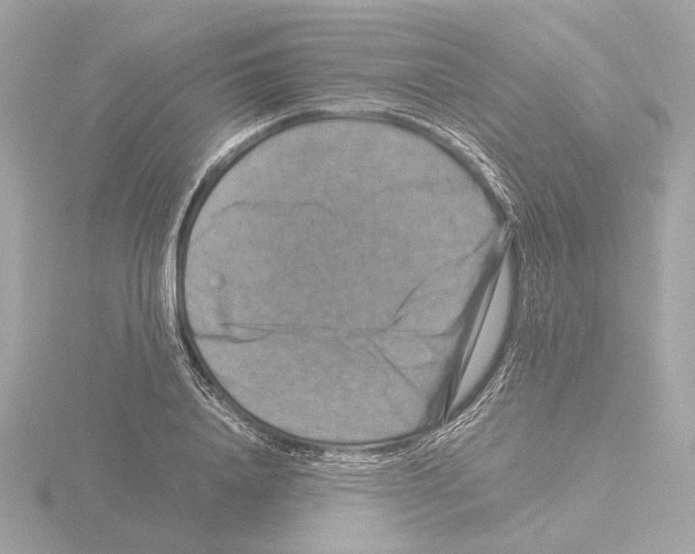 X0000115510840200912181443