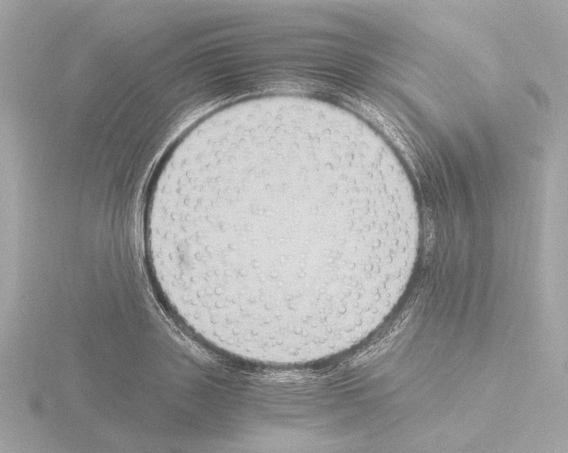 X0000115510843200912181443