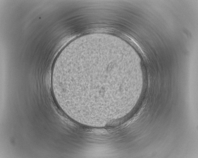 X0000115510844200912181443