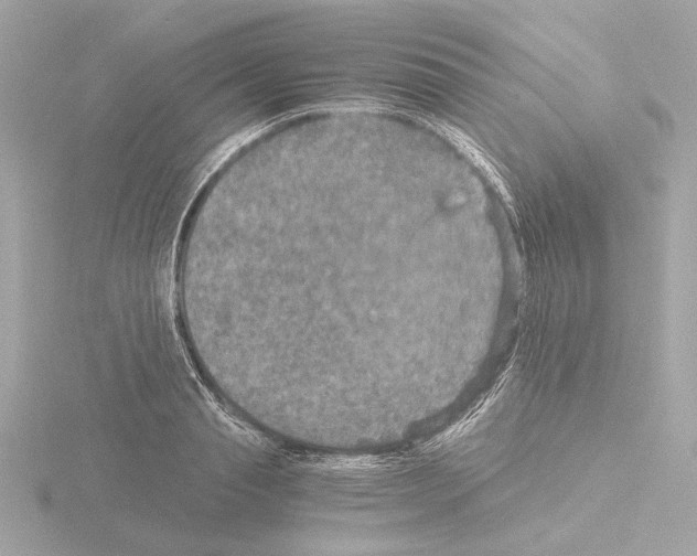 X0000115510845200912181443