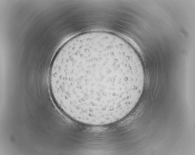 X0000115510847200912181443