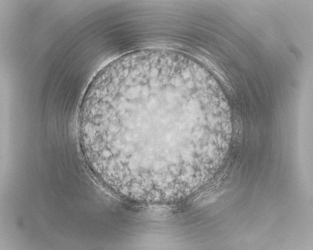 X0000115510848200912181443