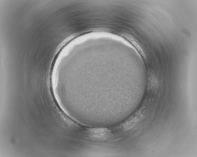 X0000115510853200912181443