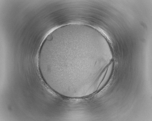 X0000115510854200912181443