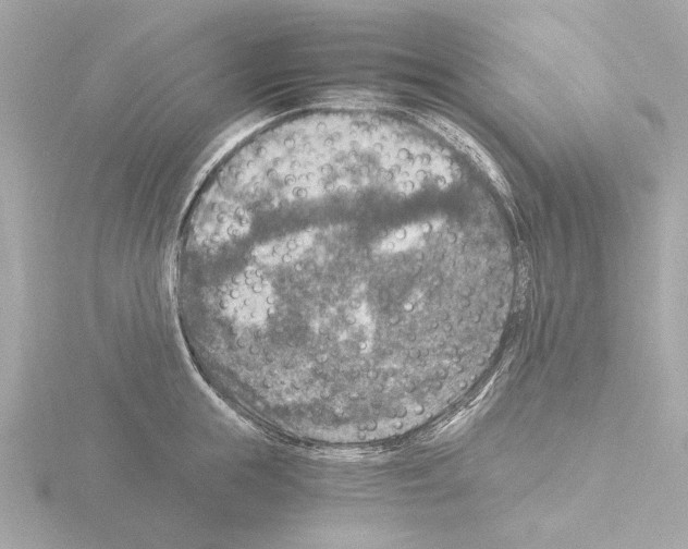 X0000115510855200912181443