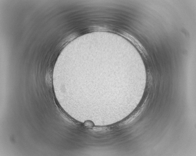 X0000115510857200912181443