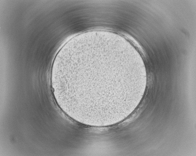 X0000115510860200912181443