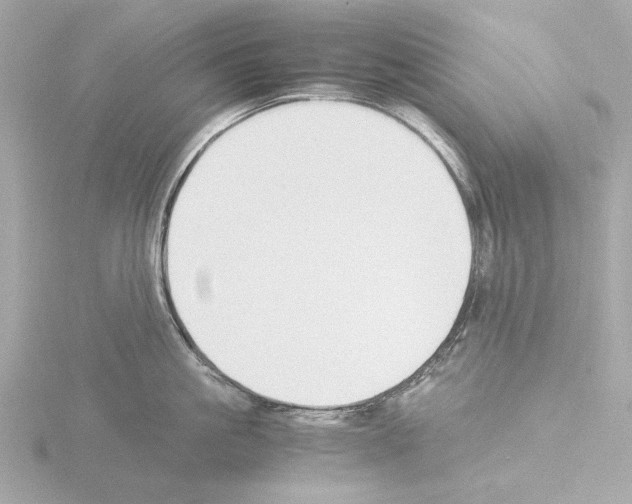 X0000115510861200912181443