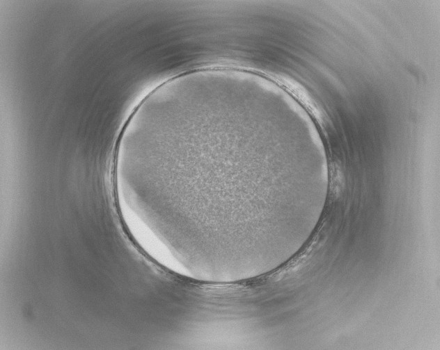 X0000115510863200912181443