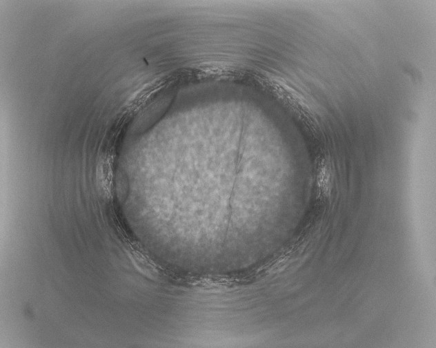 X0000115510868200912181443