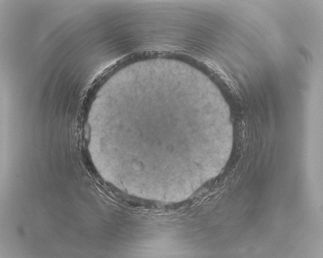 X0000115510872200912181443