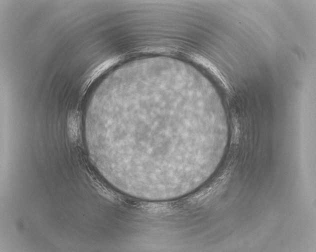 X0000115510874200912181443