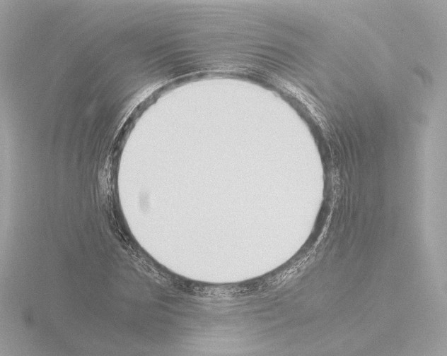 X0000115510875200912181443