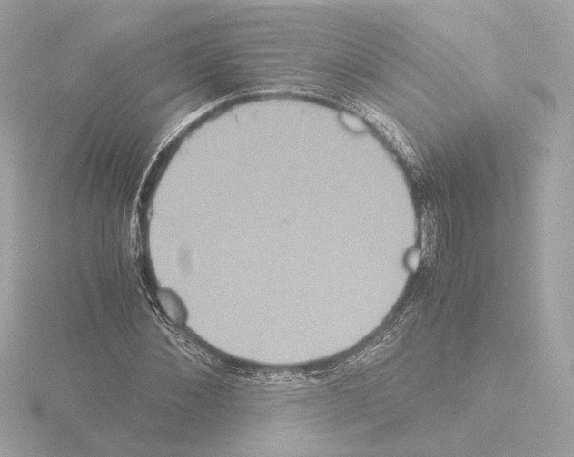 X0000115510876200912181443