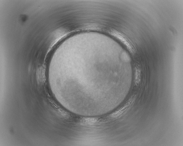 X0000115510878200912181443