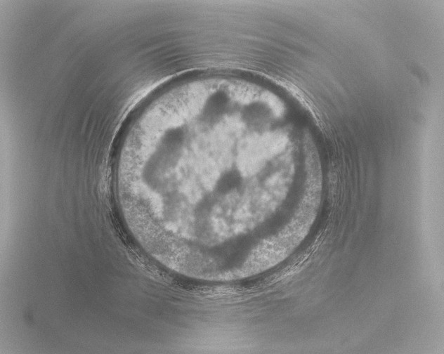 X0000115510879200912181443