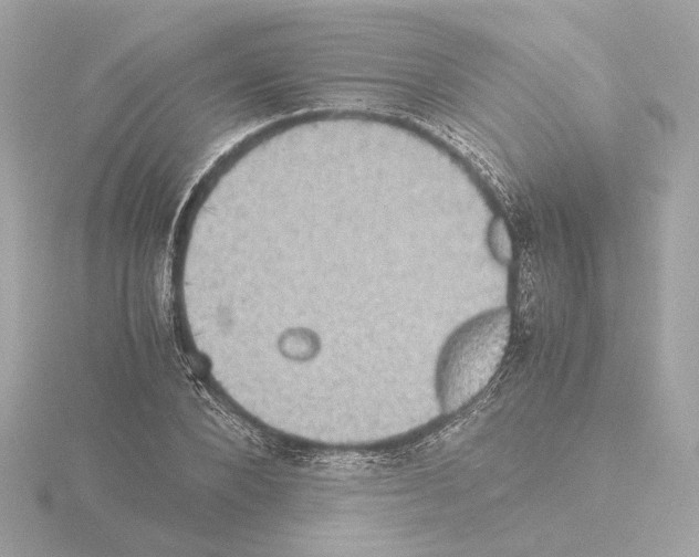 X0000115510880200912181443