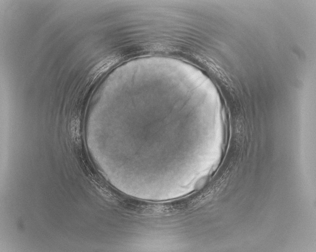 X0000115510881200912181443