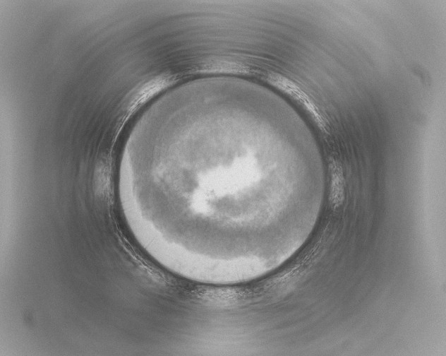 X0000115510882200912181443