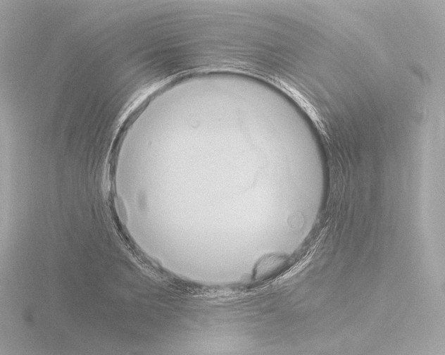 X0000115510885200912181443